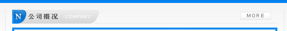 公司概況